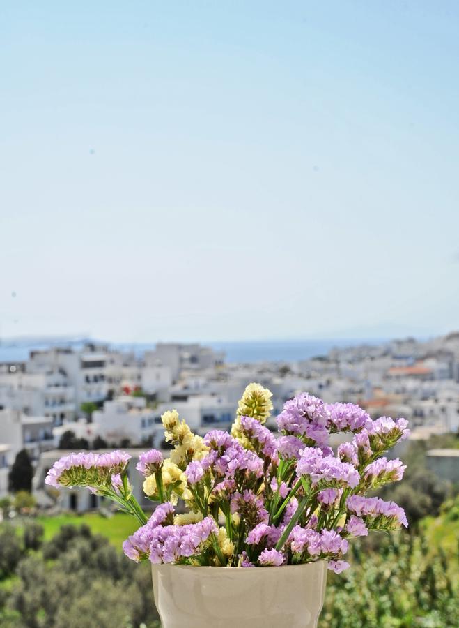 Filoxenia Hotel Tinos Exterior photo